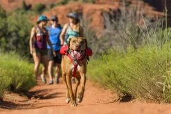 Ruffwear Singletrak Pack Rood -Sport Verkoop eef3a3e89cbfa0c73b7fd0398248199d3443b05f