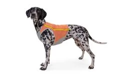 Ruffwear Swamp Cooler Zip Cooling Dog Vest Salmon Pink -Sport Verkoop ef4c4351336379e7891da5131b79def9f3e0cc15