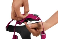 Ruffwear Front Range Harnas Hibiscus Pink 11 Ruffwear Front Range Harnas Hibiscus Pink -Sport Verkoop f077d5e23d12bf1f72e0b92924b40c7d502fb105