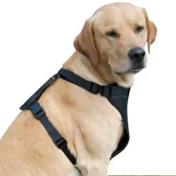 Kurgo Enhanced Strength Tru-Fit Smart Harnas ( Auto Tuig En Gordel) -Sport Verkoop f293a4ce91b5c4c44556fed996e974216aa83d4d