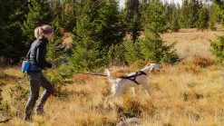 Non-stop Dogwear Non Stop Dogwear Ferd Heupgordel -Sport Verkoop f3fff09b112526f553e4b240c125b4c365c5e327