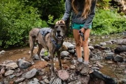 Ruffwear Switchbak Harnas Grijs -Sport Verkoop f521d10532917ef9342f7397572b27be8e104b9c