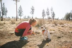 Ruffwear Hi & Light Harnas Rood/Oranje Sockey Red -Sport Verkoop f636b6e37005d9af45be149bced16a75fbc11bcd