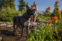 Ruffwear Switchbak Harnas Grijs -Sport Verkoop f89aef4eb16ca118077c326ee4e468b000d7a0be