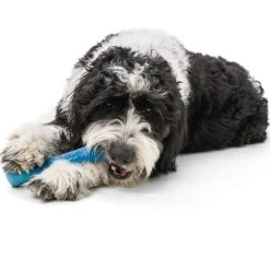 West Paw Seaflex Drifty -Sport Verkoop fcf861e5dff0243b146f1d09e031df2a829cffff