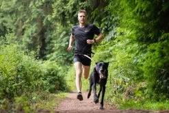 Non-stop Dogwear Non Stop Dogwear CaniX Heupgordel (voorheen Running Belt) -Sport Verkoop fd4eba61449fad4f6fe06b730f36dcd952c80315
